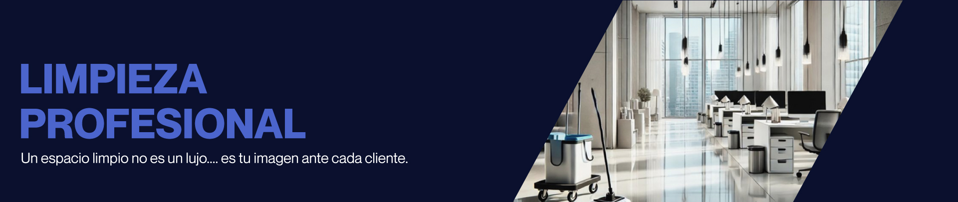 portada limpieza