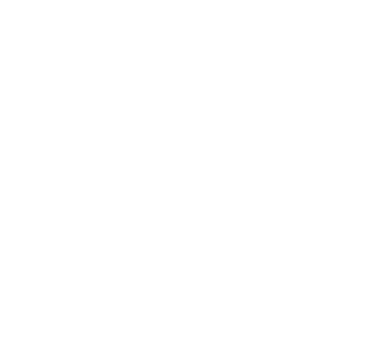 texto limpieza 2