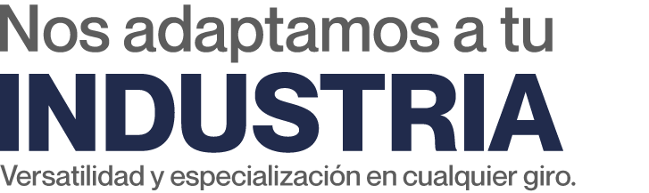 texto adaptamos